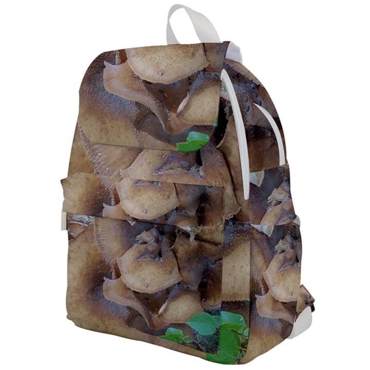 Close Up Mushroom Abstract Top Flap Backpack