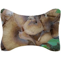 Close Up Mushroom Abstract Seat Head Rest Cushion by Fractalsandkaleidoscopes