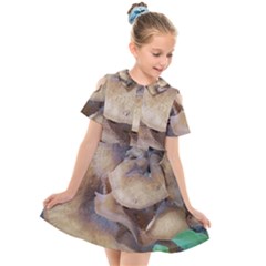 Close Up Mushroom Abstract Kids  Short Sleeve Shirt Dress