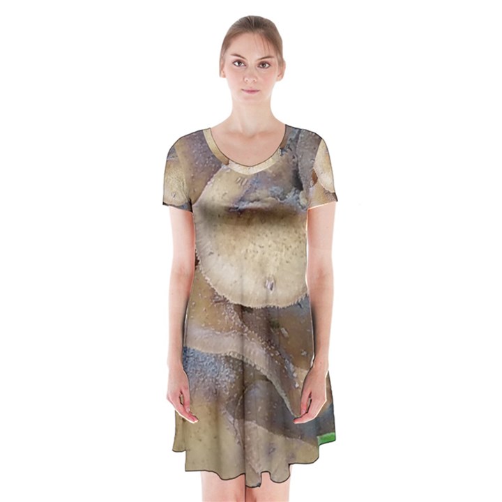 Close Up Mushroom Abstract Short Sleeve V-neck Flare Dress