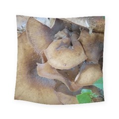 Close Up Mushroom Abstract Square Tapestry (small)