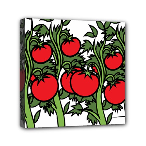 Tomato Garden Vine Plants Red Mini Canvas 6  X 6  (stretched)