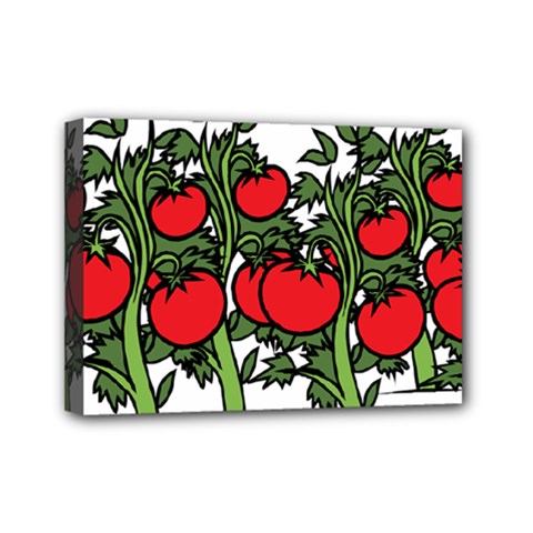 Tomato Garden Vine Plants Red Mini Canvas 7  X 5  (stretched)