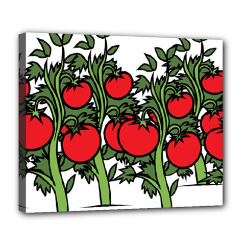 Tomato Garden Vine Plants Red Deluxe Canvas 24  X 20  (stretched) by HermanTelo