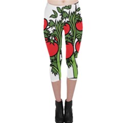 Tomato Garden Vine Plants Red Capri Leggings 