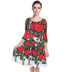 Tomato Garden Vine Plants Red Quarter Sleeve Waist Band Dress by HermanTelo