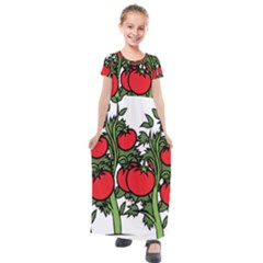 Tomato Garden Vine Plants Red Kids  Short Sleeve Maxi Dress by HermanTelo