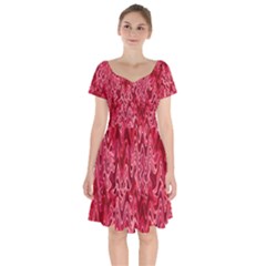 Background Abstract Surface Red Short Sleeve Bardot Dress