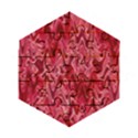 Background Abstract Surface Red Wooden Puzzle Hexagon View1