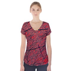 Neurons Cells Train Link Brain Short Sleeve Front Detail Top