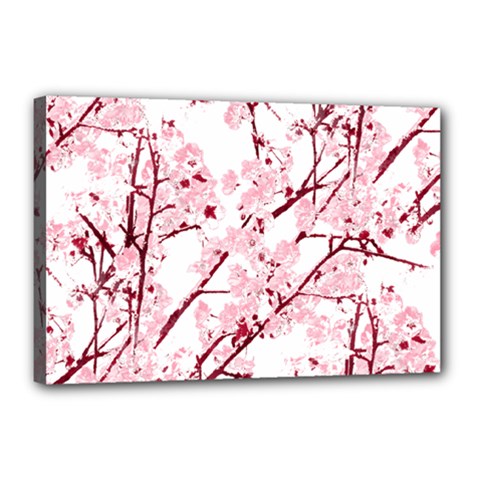 Fleurs De Cerisier Canvas 18  X 12  (stretched) by kcreatif