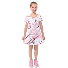 Fleurs De Cerisier Kids  Short Sleeve Velvet Dress by kcreatif