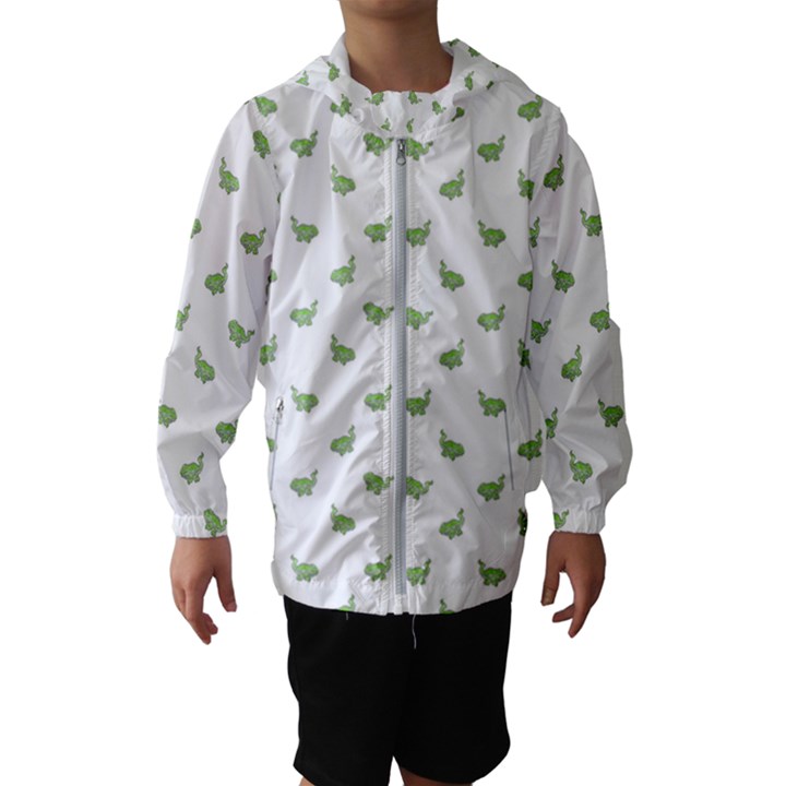 Iguana Sketchy Cartoon Style Drawing Pattern 2 Kids  Hooded Windbreaker