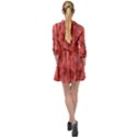 Abstrait Texture Rouge/Noir Mini Skater Shirt Dress View2