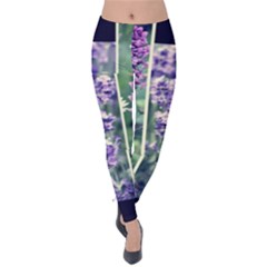 Collage Fleurs Violette Velvet Leggings by kcreatif