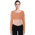 DF Union Valenti Velvet Long Sleeve Crop Top View1