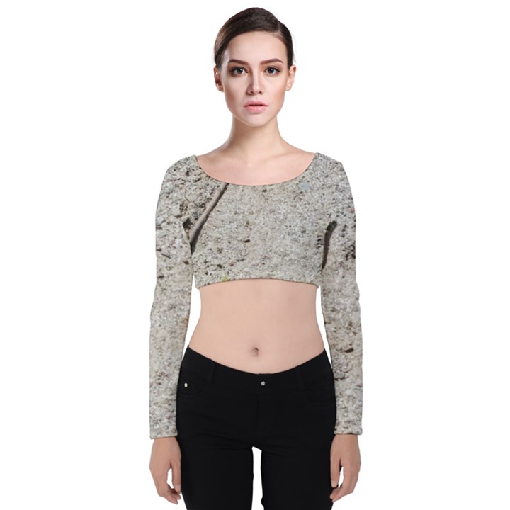 Beach Sand Velvet Long Sleeve Crop Top