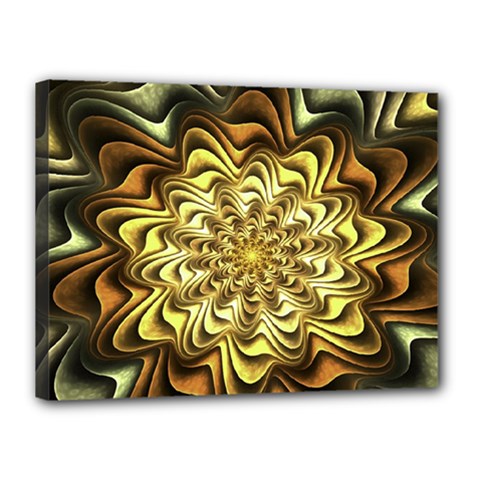 Fractal Flower Petals Gold Canvas 16  X 12  (stretched)