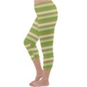 Stripey 11 Capri Winter Leggings  View2