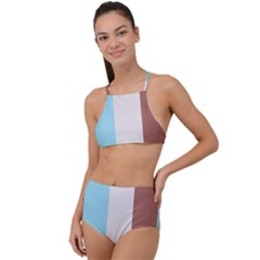 Stripey 17 High Waist Tankini Set by anthromahe