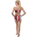 Stripey 19 Tied Up Two Piece Swimsuit View2