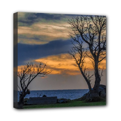 Sunset Scene At Waterfront Boardwalk, Montevideo Uruguay Mini Canvas 8  X 8  (stretched) by dflcprints