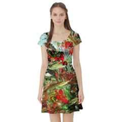 Eden Garden 1 3 Short Sleeve Skater Dress by bestdesignintheworld