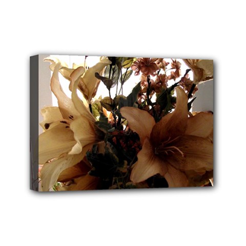 Lilies 1 1 Mini Canvas 7  X 5  (stretched) by bestdesignintheworld