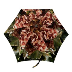 Begonia 1 1 Mini Folding Umbrellas by bestdesignintheworld