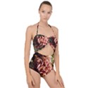 Begonia 1 1 Scallop Top Cut Out Swimsuit View1