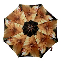 Lilies 1 3 Hook Handle Umbrellas (large) by bestdesignintheworld