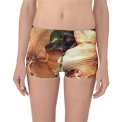 Lilies 1 3 Reversible Boyleg Bikini Bottoms by bestdesignintheworld