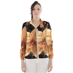 Lilies 1 3 Women s Windbreaker by bestdesignintheworld