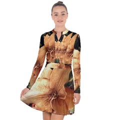 Lilies 1 3 Long Sleeve Panel Dress by bestdesignintheworld