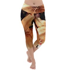 Lilies 1 3 Lightweight Velour Capri Yoga Leggings