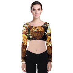 Begonia 1 2 Velvet Long Sleeve Crop Top by bestdesignintheworld