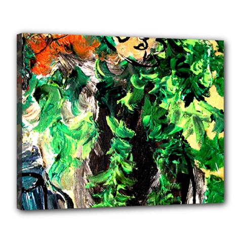 Plants 1 1 Canvas 20  X 16  (stretched) by bestdesignintheworld