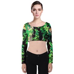 Plants 1 1 Velvet Long Sleeve Crop Top by bestdesignintheworld