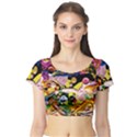 Alice Walk 1 2 Short Sleeve Crop Top View1