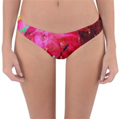 Revelation 1 1 Reversible Hipster Bikini Bottoms by bestdesignintheworld