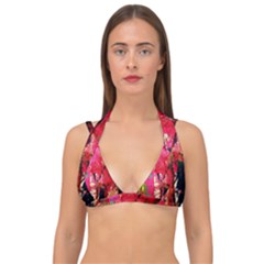 Revelation 1 1 Double Strap Halter Bikini Top