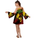 Revelation 1 3 Kimono Sleeves Boho Dress View2