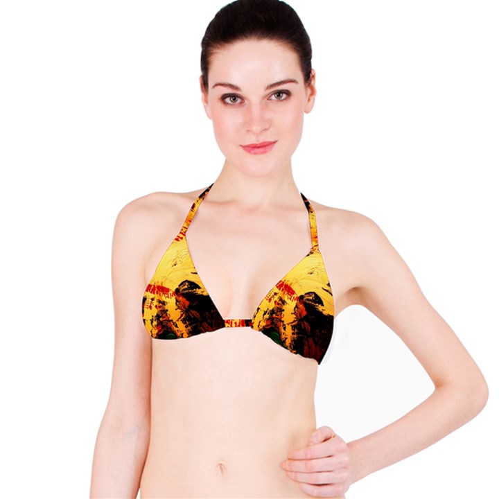 Hide An Seek 1 3 Bikini Top