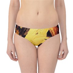 Hide An Seek 1 3 Hipster Bikini Bottoms by bestdesignintheworld