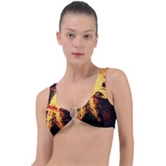 Hide An Seek 1 3 Ring Detail Bikini Top