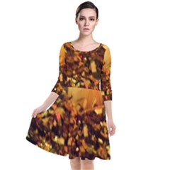 Christmas Tree  1 1 Quarter Sleeve Waist Band Dress