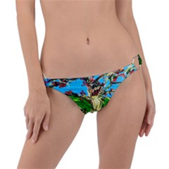 Coral Tree 2 Ring Detail Bikini Bottom