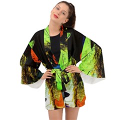 I Wonder 1 Long Sleeve Kimono