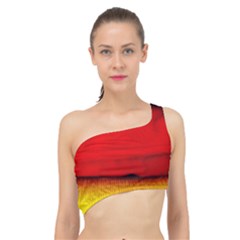 Colors And Fabrics 7 Spliced Up Bikini Top 