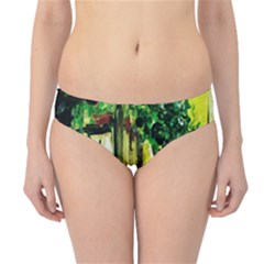 Old Tree And House With An Arch 8 Hipster Bikini Bottoms by bestdesignintheworld